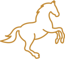 7076_white-jumping-horse-outline