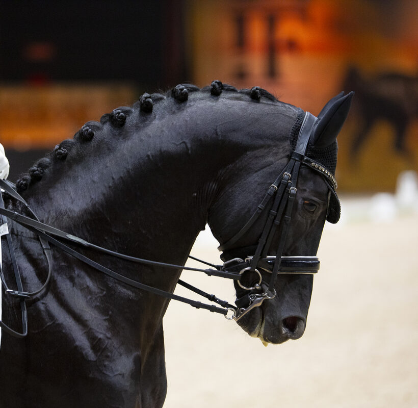 Clinic Alex en Diederik van SilfhoutIndoor Friesland 2023© DigiShots