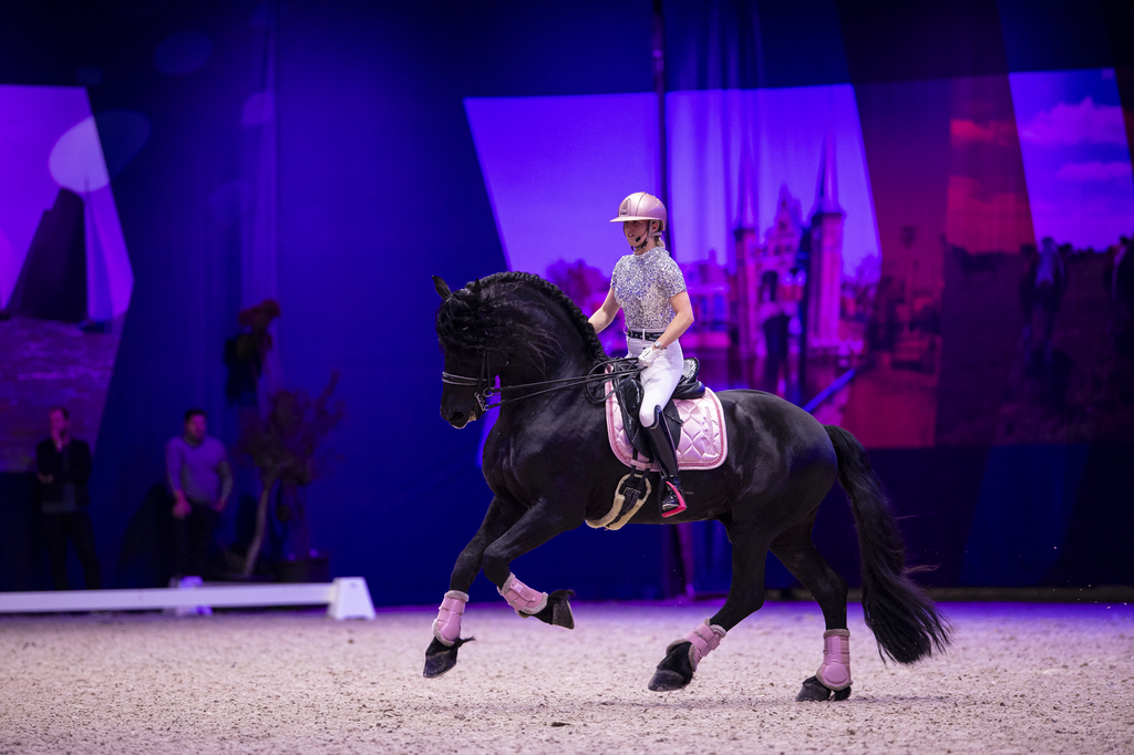 Dream HorseIndoor Friesland 2023© DigiShots