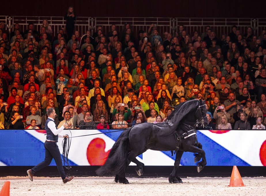 Dream HorseIndoor Friesland 2023© DigiShots