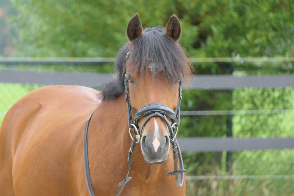 WhatsApp Image 2025-07-18 at 07.22.08