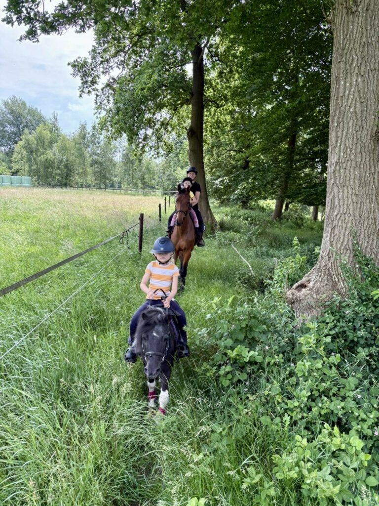 thumbnail_d93f66d5-3989-4868-b038-efbdb6e7ca97