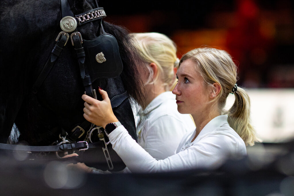 03-LEEU25L187530 kopie