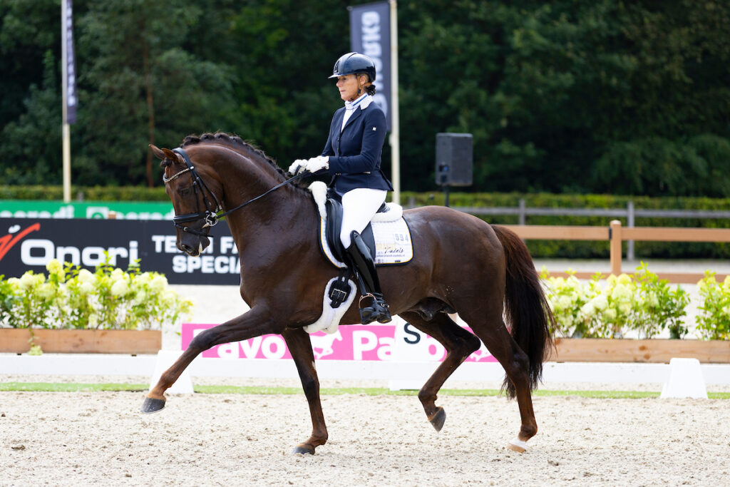 Gerdine Maree - Dutch DreamKWPN Kampioenschappen 2024© DigiShots