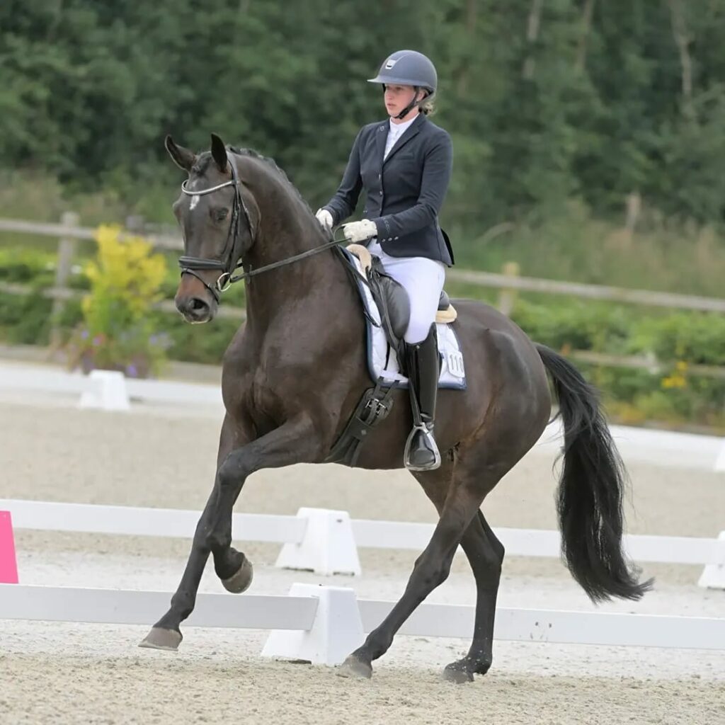 Rommie Stegeman-fotograaf Foto4U