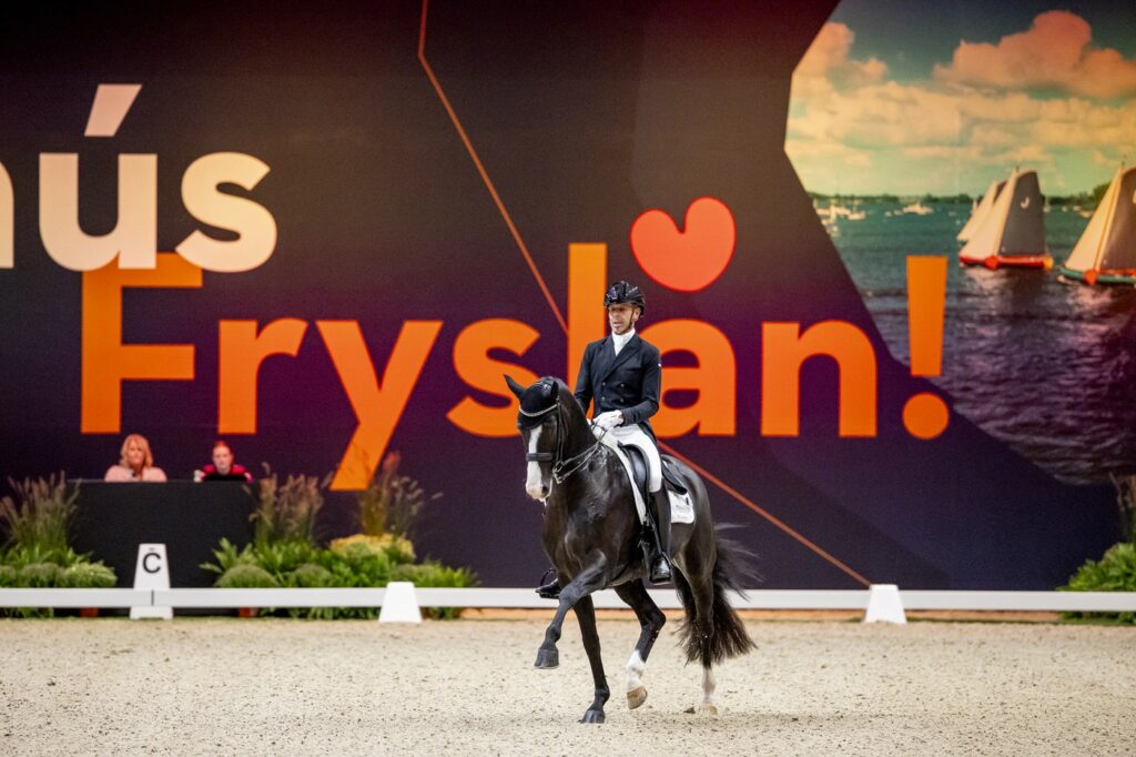 thumbnail_Hans Peter Minderhoud-My Toto-LEEU25L124947