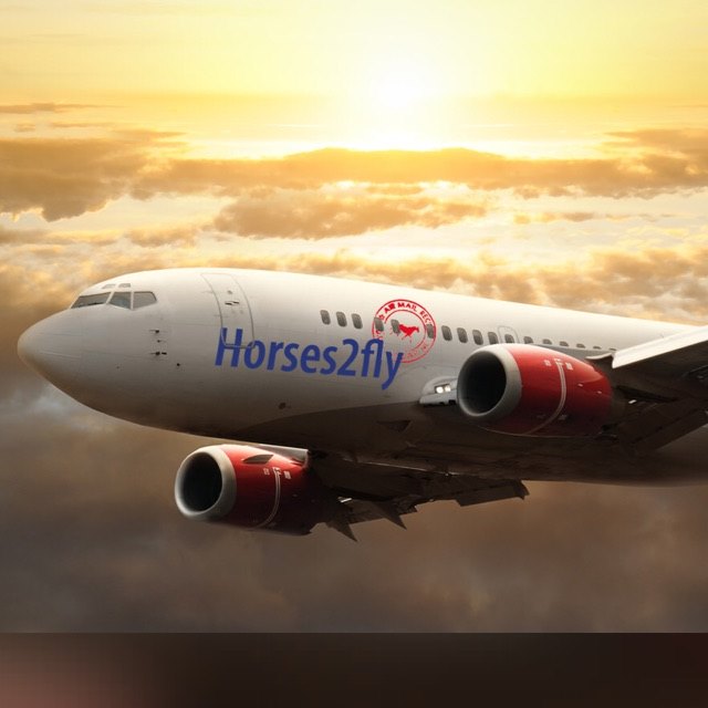 thumbnail_PLANE-H2F[1]