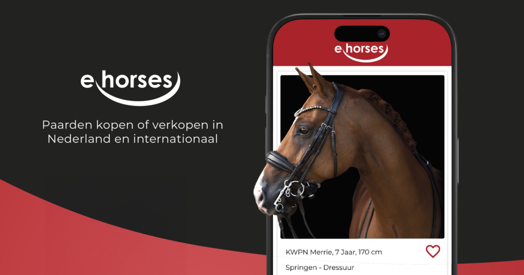 ehorses website